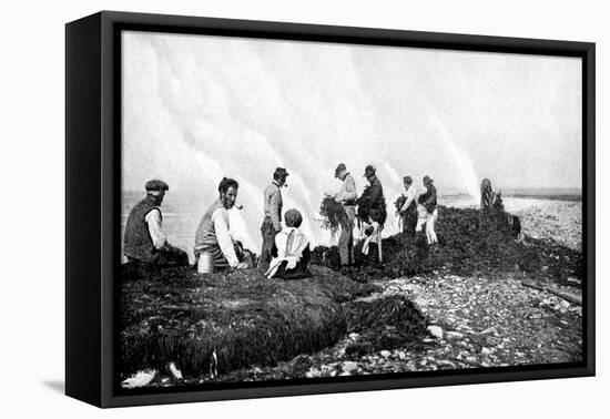 Burning Seaweed for Kelp, Aran Islands, Ireland, 1922-AW Cutler-Framed Premier Image Canvas