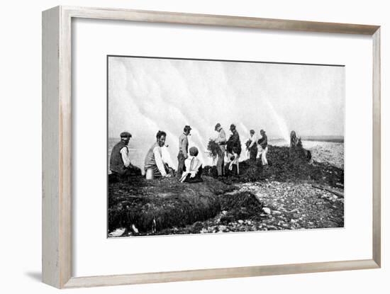 Burning Seaweed for Kelp, Aran Islands, Ireland, 1922-AW Cutler-Framed Giclee Print