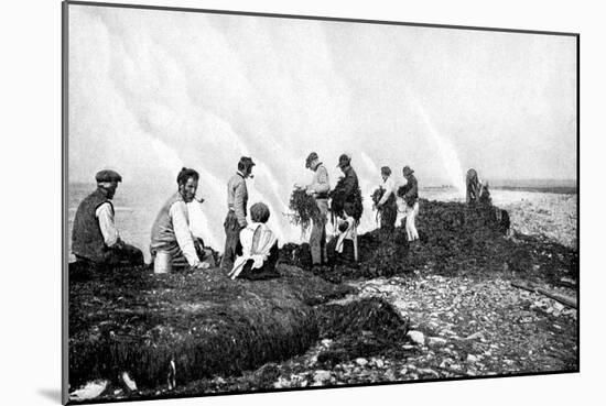 Burning Seaweed for Kelp, Aran Islands, Ireland, 1922-AW Cutler-Mounted Giclee Print