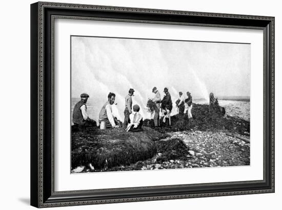 Burning Seaweed for Kelp, Aran Islands, Ireland, 1922-AW Cutler-Framed Giclee Print