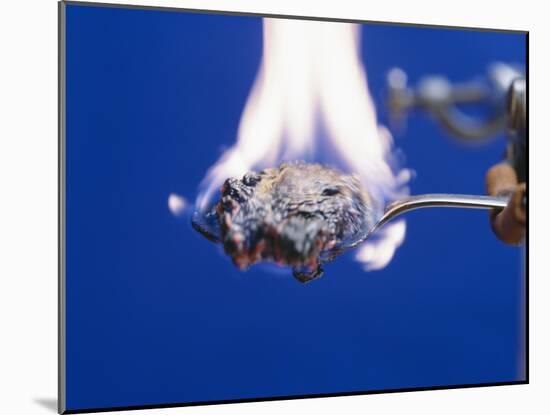 Burning Sugar-Andrew Lambert-Mounted Photographic Print