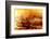 Burning water-Willy Marthinussen-Framed Photographic Print