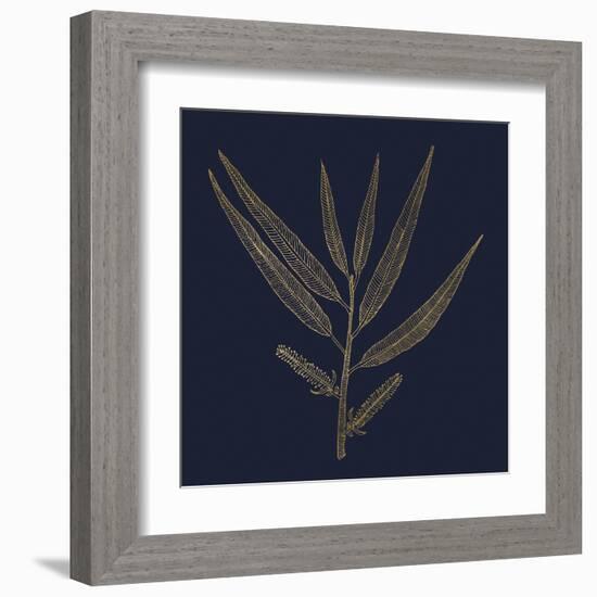 Burnished Gold - Willow-Kim Johnson-Framed Giclee Print