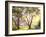 Burnished Landscape-Erin Dertner-Framed Art Print