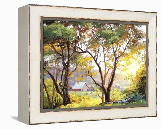 Burnished Landscape-Erin Dertner-Framed Stretched Canvas