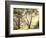 Burnished Landscape-Erin Dertner-Framed Art Print