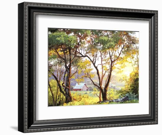 Burnished Landscape-Erin Dertner-Framed Art Print