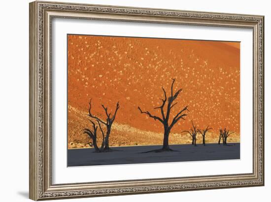 Burnished Skies-Frank Krahmer-Framed Giclee Print