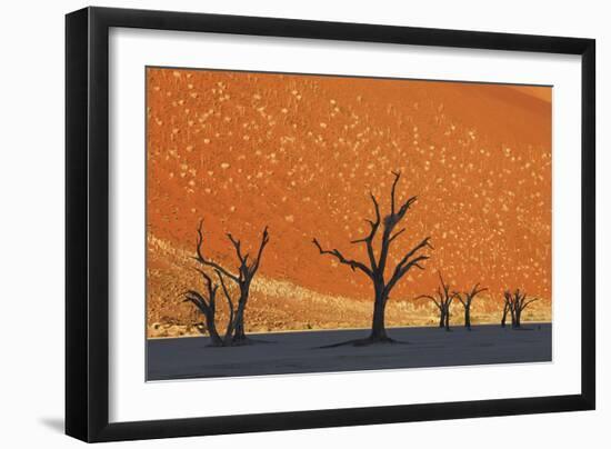 Burnished Skies-Frank Krahmer-Framed Giclee Print