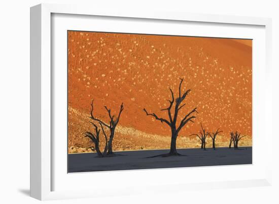 Burnished Skies-Frank Krahmer-Framed Giclee Print