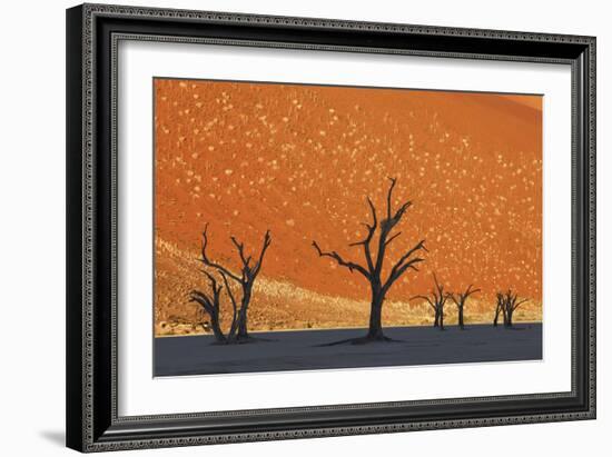 Burnished Skies-Frank Krahmer-Framed Giclee Print