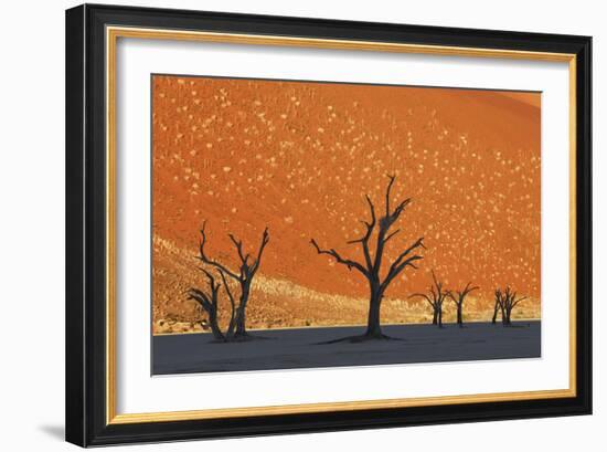 Burnished Skies-Frank Krahmer-Framed Giclee Print