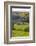 Burnsall, Yorkshire Dales National Park, Yorkshire, England, United Kingdom, Europe-Miles Ertman-Framed Photographic Print