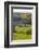 Burnsall, Yorkshire Dales National Park, Yorkshire, England, United Kingdom, Europe-Miles Ertman-Framed Photographic Print