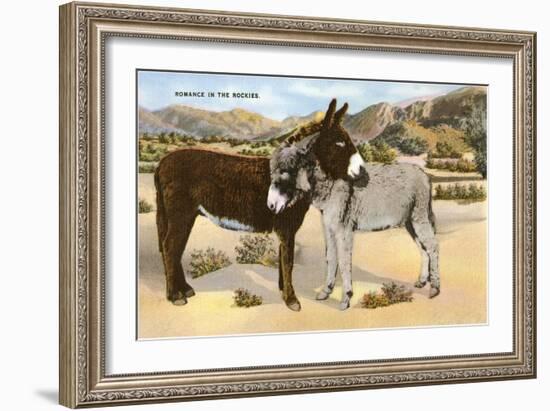 Burros Snuggling, Romance in the Rockies-null-Framed Art Print