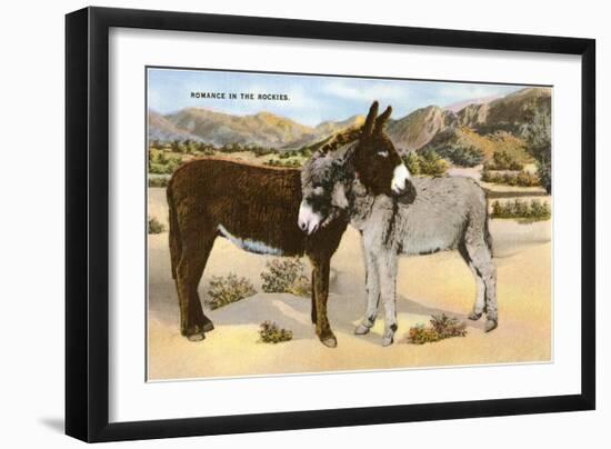 Burros Snuggling, Romance in the Rockies-null-Framed Art Print