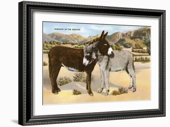 Burros Snuggling, Romance in the Rockies-null-Framed Art Print