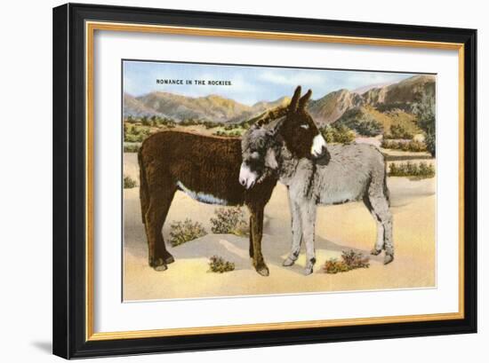 Burros Snuggling, Romance in the Rockies-null-Framed Art Print