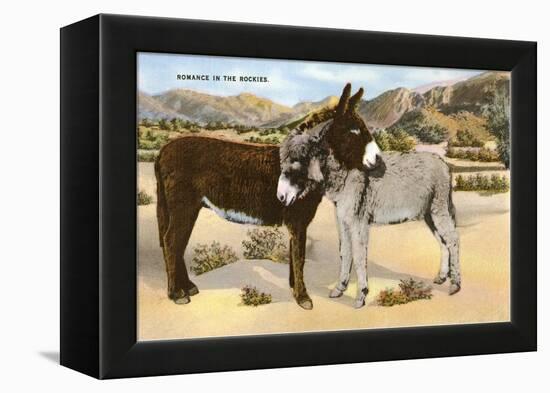 Burros Snuggling, Romance in the Rockies-null-Framed Stretched Canvas