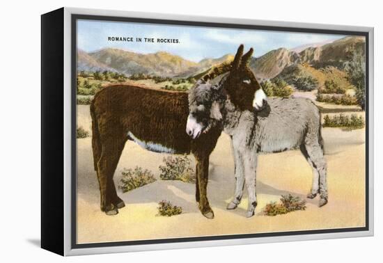 Burros Snuggling, Romance in the Rockies-null-Framed Stretched Canvas