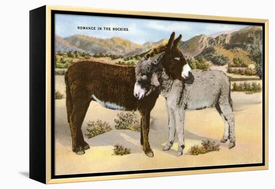 Burros Snuggling, Romance in the Rockies-null-Framed Stretched Canvas