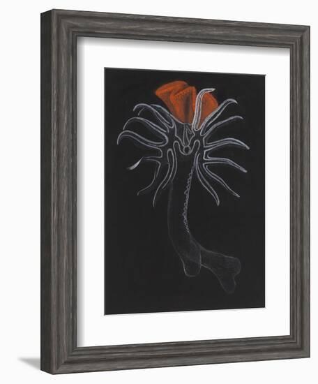 Burrowing Anemone-Philip Henry Gosse-Framed Giclee Print