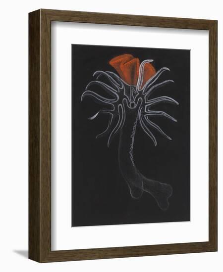 Burrowing Anemone-Philip Henry Gosse-Framed Giclee Print