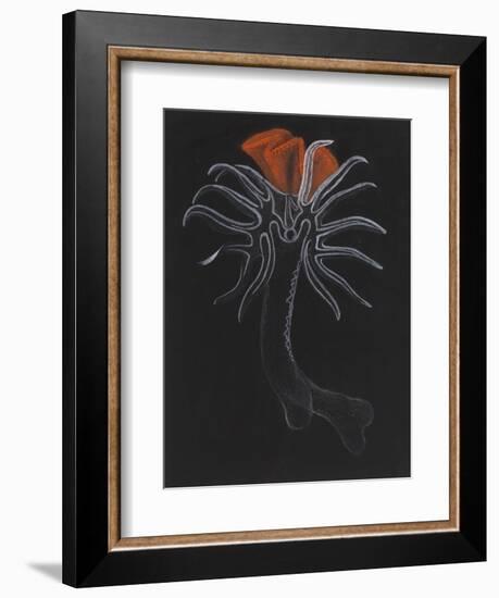 Burrowing Anemone-Philip Henry Gosse-Framed Giclee Print