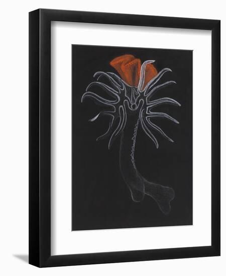 Burrowing Anemone-Philip Henry Gosse-Framed Giclee Print