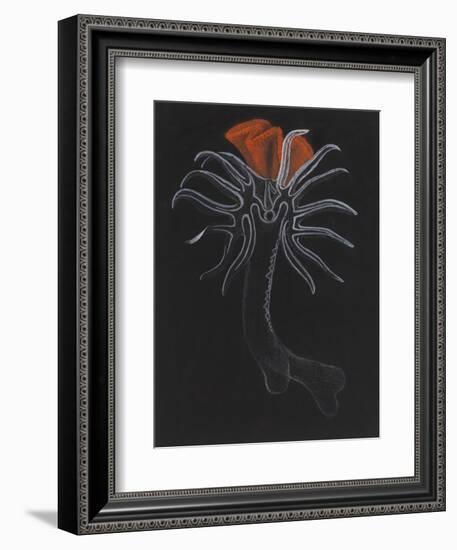 Burrowing Anemone-Philip Henry Gosse-Framed Giclee Print