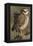 Burrowing Owl Pair-Ken Archer-Framed Premier Image Canvas