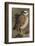 Burrowing Owl Pair-Ken Archer-Framed Photographic Print