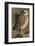 Burrowing Owl Pair-Ken Archer-Framed Photographic Print