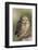 Burrowing Owl-Ken Archer-Framed Photographic Print