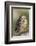 Burrowing Owl-Ken Archer-Framed Photographic Print