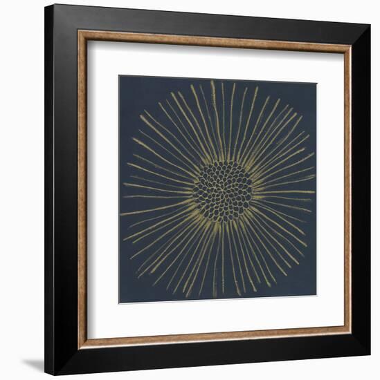 Burst I-Cathe Hendrick-Framed Art Print