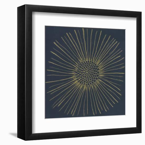 Burst I-Cathe Hendrick-Framed Art Print