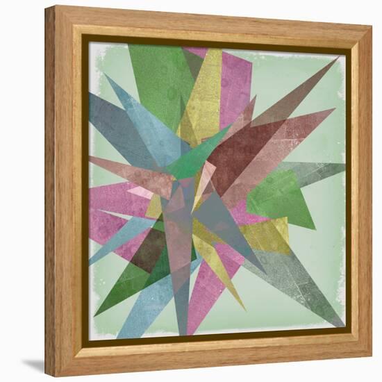 Burst I-Jennifer Goldberger-Framed Stretched Canvas