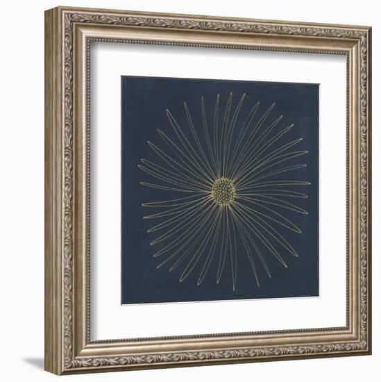 Burst II-Cathe Hendrick-Framed Art Print