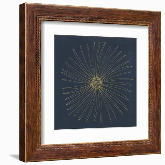 Burst II-Cathe Hendrick-Framed Art Print