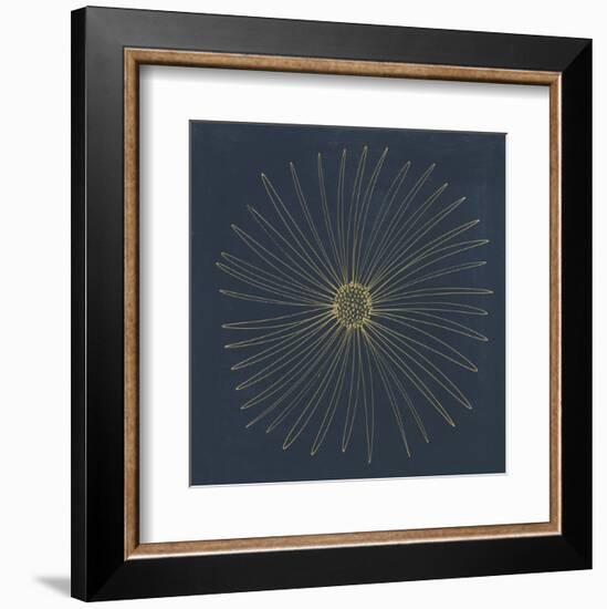 Burst II-Cathe Hendrick-Framed Art Print