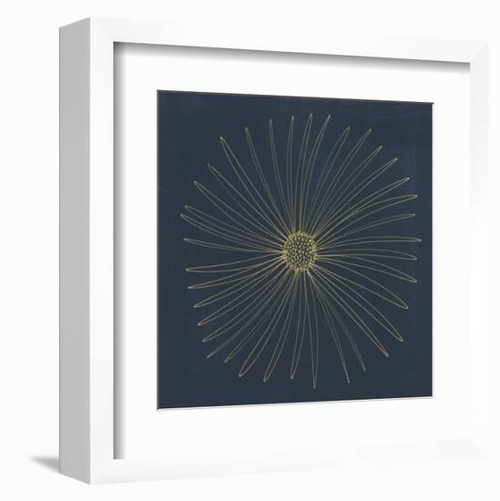 Burst II-Cathe Hendrick-Framed Art Print