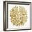 Burst in Gold Palette-Cat Coquillette-Framed Premium Giclee Print