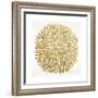 Burst in Gold Palette-Cat Coquillette-Framed Giclee Print