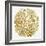 Burst in Gold Palette-Cat Coquillette-Framed Giclee Print