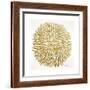 Burst in Gold Palette-Cat Coquillette-Framed Giclee Print