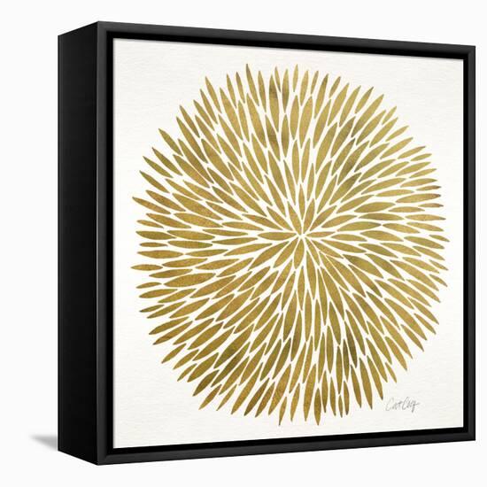 Burst in Gold Palette-Cat Coquillette-Framed Premier Image Canvas