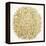 Burst in Gold Palette-Cat Coquillette-Framed Premier Image Canvas