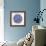 Burst in Navy Palette-Cat Coquillette-Framed Giclee Print displayed on a wall