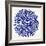 Burst in Navy Palette-Cat Coquillette-Framed Giclee Print